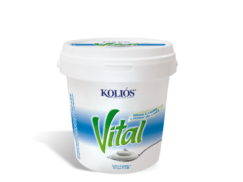 Krēms Tzatziki mērces pagatavošanai Vital Edesma 10% 500g